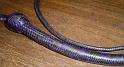 4ft Purple and Black 20 plait Custom Signal Whip C